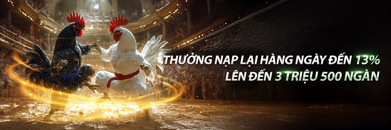 Hình ảnh đại diện cho Điều Khoản Dịch Vụ của 678bet